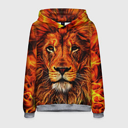 Толстовка-худи мужская LION, цвет: 3D-меланж