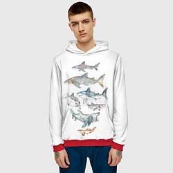 Толстовка-худи мужская Акулы, цвет: 3D-красный — фото 2