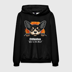 Мужская толстовка Чихуахуа Chihuahua