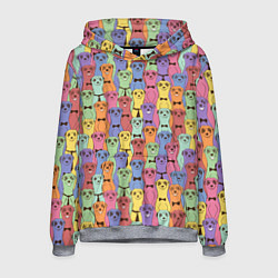 Толстовка-худи мужская Красочные Сурикаты, цвет: 3D-меланж