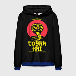 Толстовка-худи мужская Cobra Kai California, цвет: 3D-синий