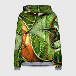 Толстовка-худи мужская Растительный абстрактный фрактальный паттерн Veget, цвет: 3D-меланж