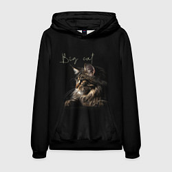 Толстовка-худи мужская Big cat Maine Coon, цвет: 3D-черный