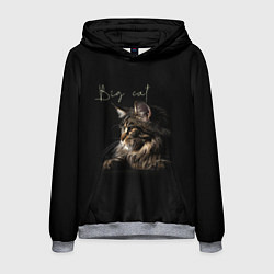 Толстовка-худи мужская Big cat Maine Coon, цвет: 3D-меланж