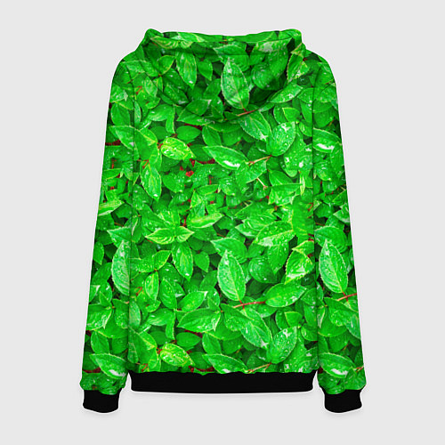 Мужская толстовка Зелёные листья - текстура / 3D-Черный – фото 2