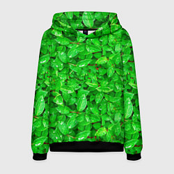 Толстовка-худи мужская Зелёные листья - текстура, цвет: 3D-черный