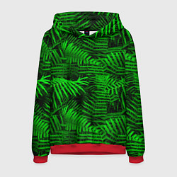 Толстовка-худи мужская Листья папоротника - текстура, цвет: 3D-красный