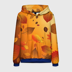 Толстовка-худи мужская Осенний тёплый ветер, цвет: 3D-синий