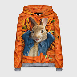 Толстовка-худи мужская Кролик Питер, цвет: 3D-меланж
