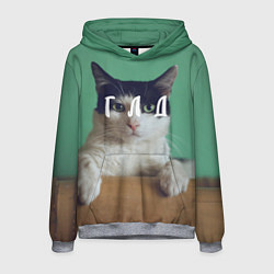 Толстовка-худи мужская Мем с котом - голод, цвет: 3D-меланж