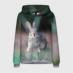 Толстовка-худи мужская Малыш кролик, цвет: 3D-меланж