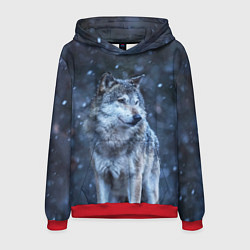 Толстовка-худи мужская Лесной волк, цвет: 3D-красный