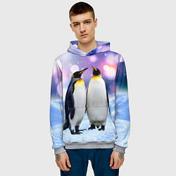 Толстовка-худи мужская Пингвины на снегу, цвет: 3D-меланж — фото 2