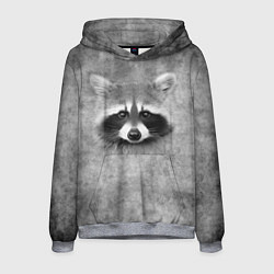 Толстовка-худи мужская Енот - grunge style texture, цвет: 3D-меланж