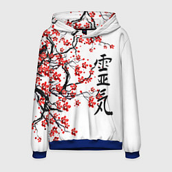 Толстовка-худи мужская Цветущее дерево сакуры, цвет: 3D-синий