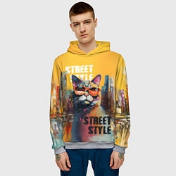 Толстовка-худи мужская Кот в городе - street style, цвет: 3D-меланж — фото 2