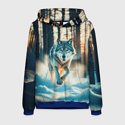 Толстовка-худи мужская Волк в темном лесу, цвет: 3D-синий