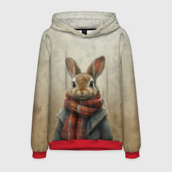 Толстовка-худи мужская Кролик в шарфе, цвет: 3D-красный
