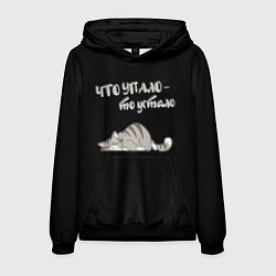 Толстовка-худи мужская Что упало то устало, цвет: 3D-черный