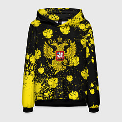 Толстовка-худи мужская Жёлтые краски герб, цвет: 3D-черный