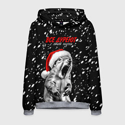 Толстовка-худи мужская Все дуреют с этой пурги, цвет: 3D-меланж