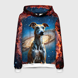 Толстовка-худи мужская Уиппет в космосе, цвет: 3D-белый