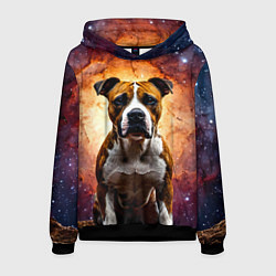 Толстовка-худи мужская Американский стаффордширский терьер в космосе, цвет: 3D-черный