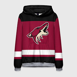 Толстовка-худи мужская Arizona Coyotes, цвет: 3D-меланж