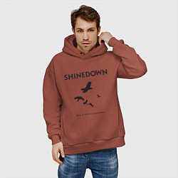 Толстовка оверсайз мужская Shinedown: Sound of Madness цвета кирпичный — фото 2