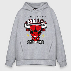 Толстовка оверсайз мужская Chicago Bulls est. 1966, цвет: меланж