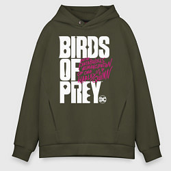 Толстовка оверсайз мужская Birds of Prey logo, цвет: хаки
