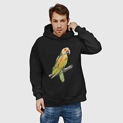 Толстовка оверсайз мужская Любимый попугай, цвет: черный — фото 2
