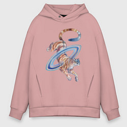 Толстовка оверсайз мужская Сатурн пума, цвет: пыльно-розовый