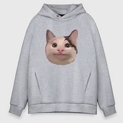Толстовка оверсайз мужская Polite cat meme, цвет: меланж