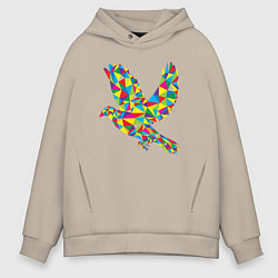 Толстовка оверсайз мужская Разноцветная птичка, цвет: миндальный
