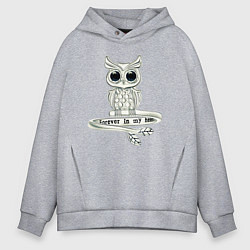 Толстовка оверсайз мужская Серебряная сова на кольце, цвет: меланж