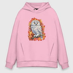 Толстовка оверсайз мужская Осенняя сова, цвет: светло-розовый