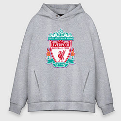 Толстовка оверсайз мужская Liverpool fc sport collection, цвет: меланж