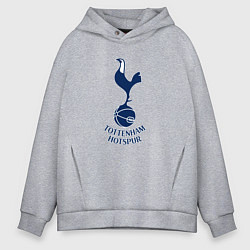 Толстовка оверсайз мужская Tottenham Hotspur fc sport, цвет: меланж