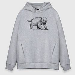 Толстовка оверсайз мужская Медоед недоволен, цвет: меланж