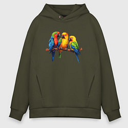 Толстовка оверсайз мужская Разговор попугаев, цвет: хаки