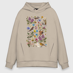Толстовка оверсайз мужская Птицы, бабочки, цветы, цвет: миндальный