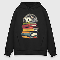 Мужское худи оверсайз Ёжик на книгах