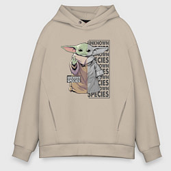 Мужское худи оверсайз Unknown specis - Baby Yoda