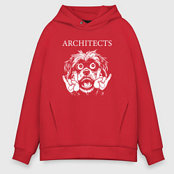 Толстовка оверсайз мужская Architects rock dog, цвет: красный