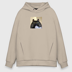 Толстовка оверсайз мужская Видеозвонок с котом парный мем, цвет: миндальный