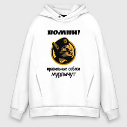 Толстовка оверсайз мужская Правильные собаки кошки, цвет: белый