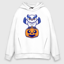 Толстовка оверсайз мужская Halloween owl, цвет: белый