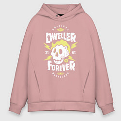 Мужское худи оверсайз Dweller Forever