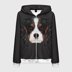 Мужская толстовка на молнии Cavalier King Charles